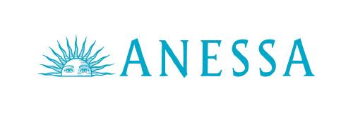 logo anessa